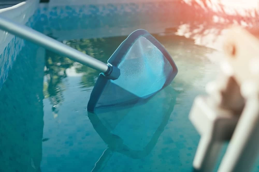A close-up of a blue pool skimmer net being used to clean the surface of a swimming pool, with sunlight reflecting on the water—showcasing the crystal clarity provided by expert pool installation.