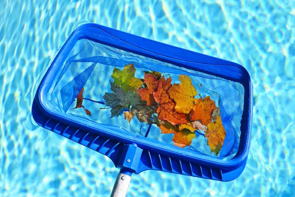 A blue pool skimmer net containing colorful autumn leaves hovers above the surface of clear, rippling water—another serene scene made possible by expert pool installation.