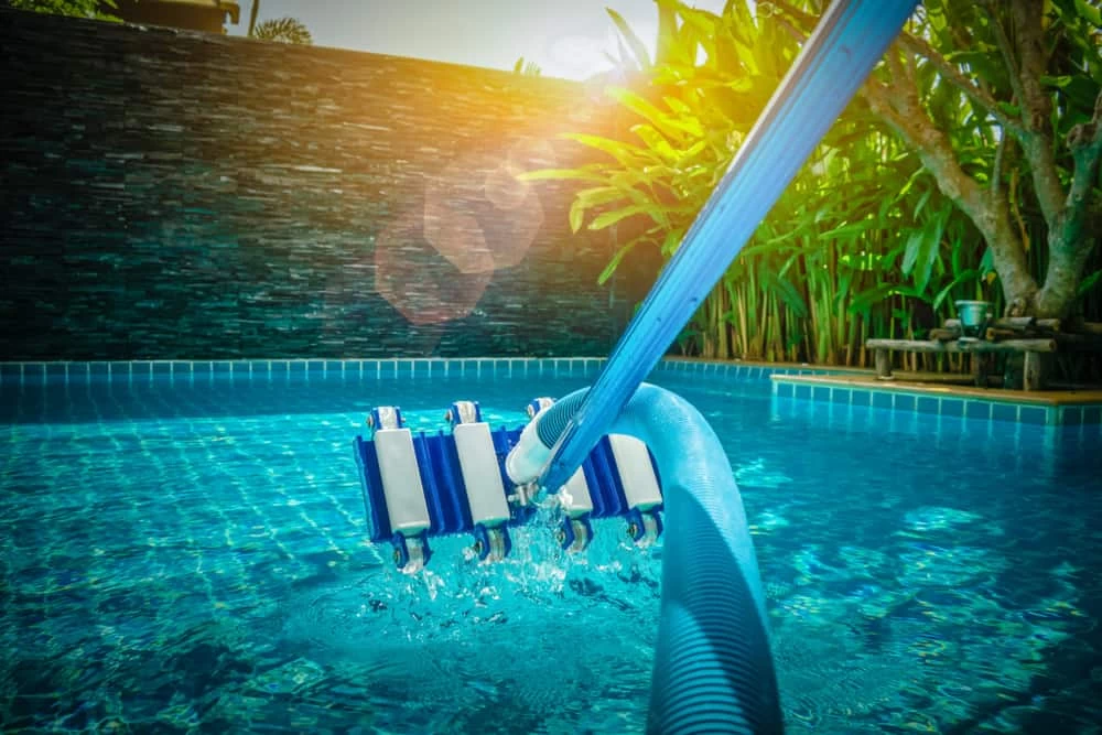 A pool cleaning vacuum on a blue hose cleans the bottom of a clear swimming pool in bright sunlight, with green plants and a stone wall in the background—perfect care for custom pools and premium pool services.