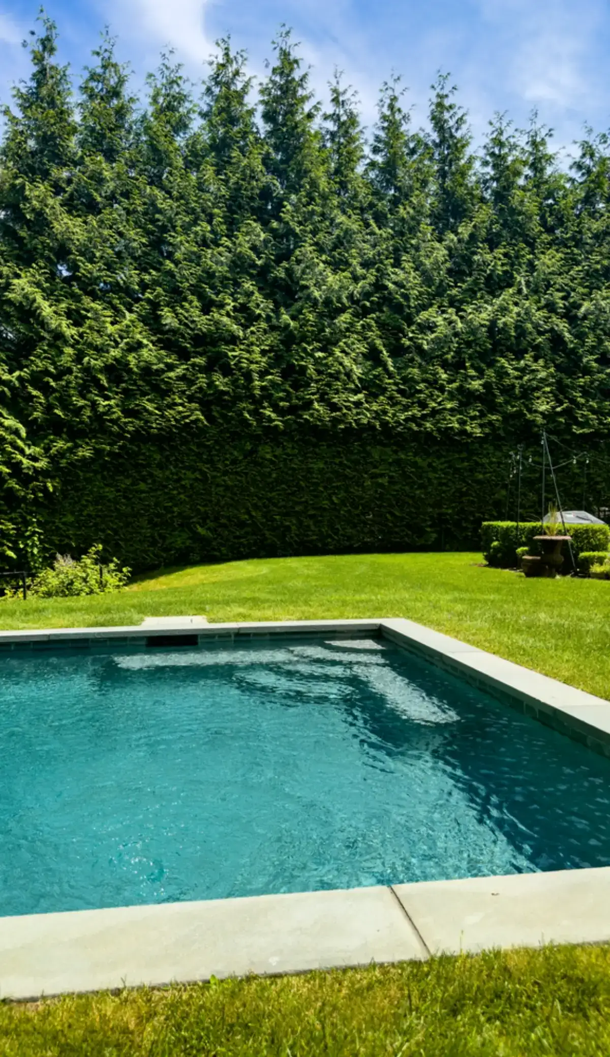 A rectangular swimming pool with clear blue water sits in a grassy backyard. Tall green trees and a manicured hedge surround the space. A swing hangs from a metal frame in the background on the right side.